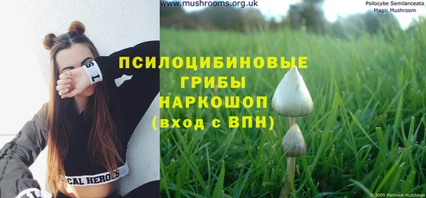 эйфоретик Алексеевка